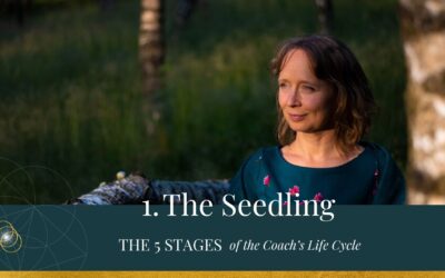 The 5 Stages of the Coach’s Life Cycle – The Seedling