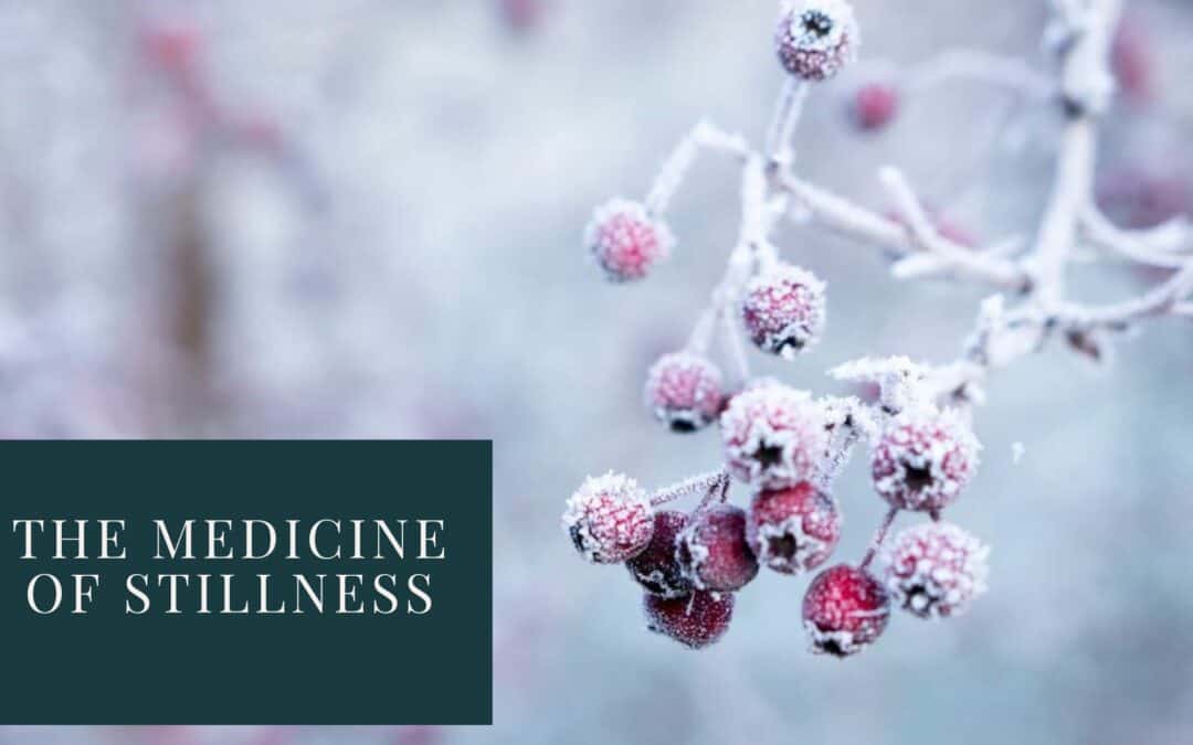 Medicine of Stillness in Coaching - Frosted Winter berries