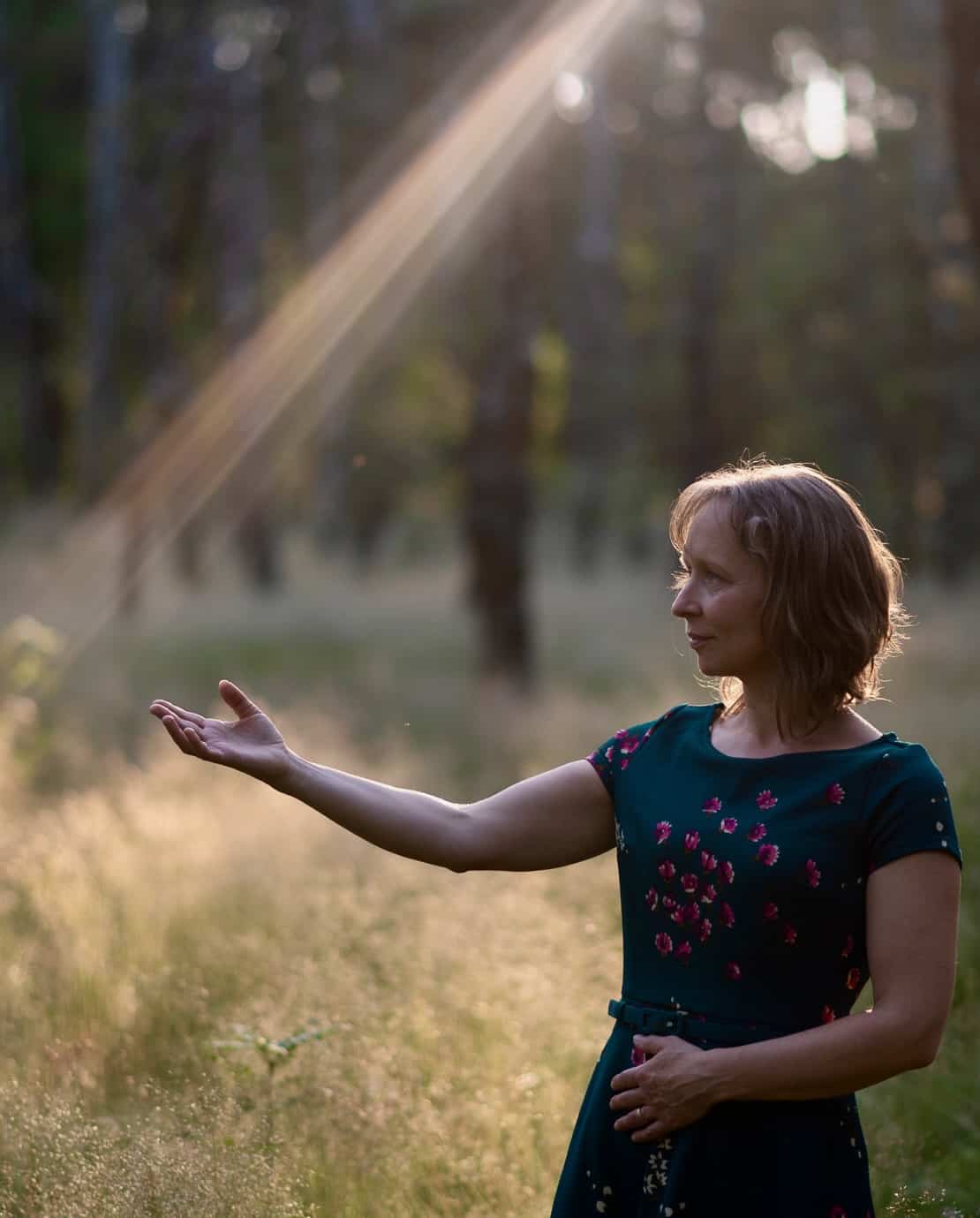 New ray of light website 2023 (2)