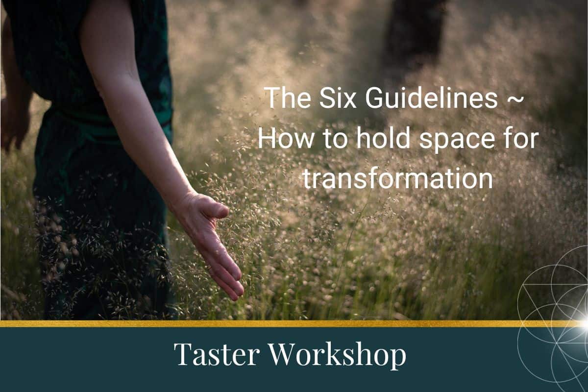 Six Guidelines or How to Hold Space for Transformation ~taster workshop