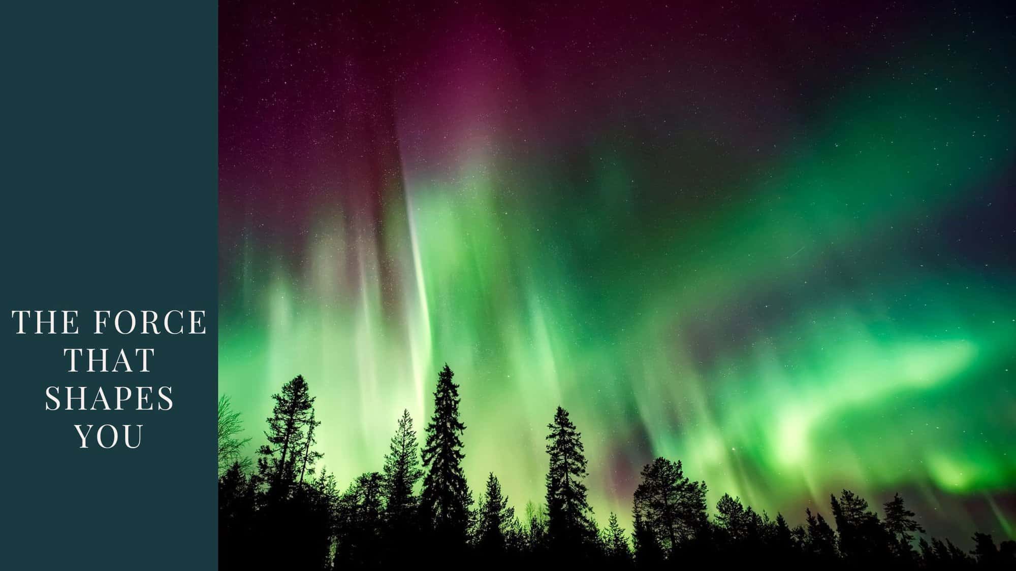 Blog the force that shapes us - light green swirls of auroris borealis over pine trees